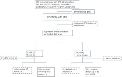 Home oxygen use and 1-year outcome among preterm infants with bronchopulmonary dysplasia discharged from a Chinese regional NICU